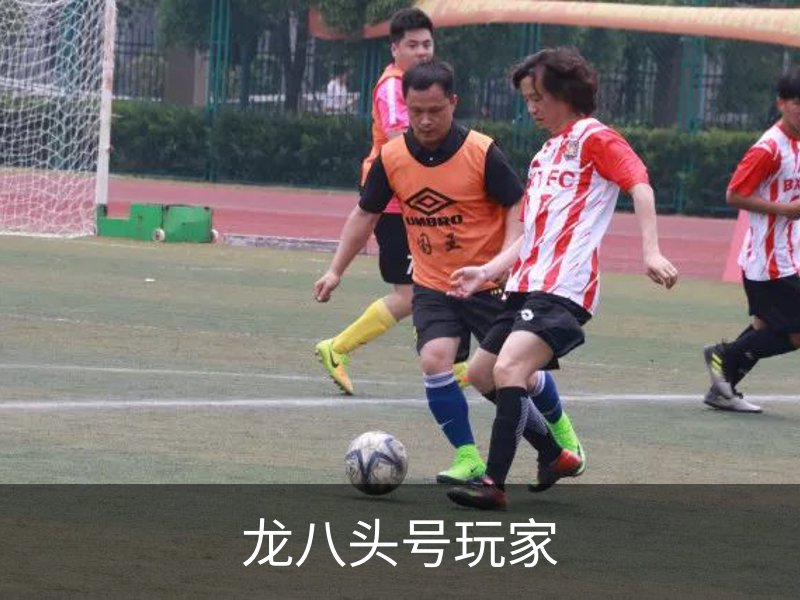 龙八头号玩家介绍